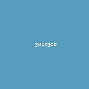 300x300